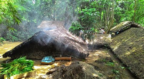 Have You Heard of the Legend of Hoang Cam & His Talking Tree?