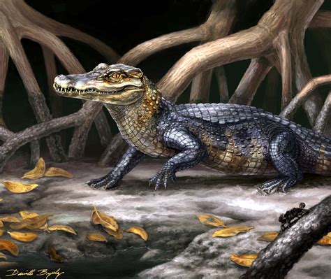 “Xuxu” the Cursed Caiman: Exploring Ancient Fears and Indigenous Wisdom