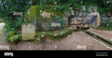 The Fountain of Tears! A 10th Century French Tale Exploring Love, Loss, and the Power of Nature